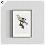 1-8_Des-Oiseaux-de-Paradis_blk