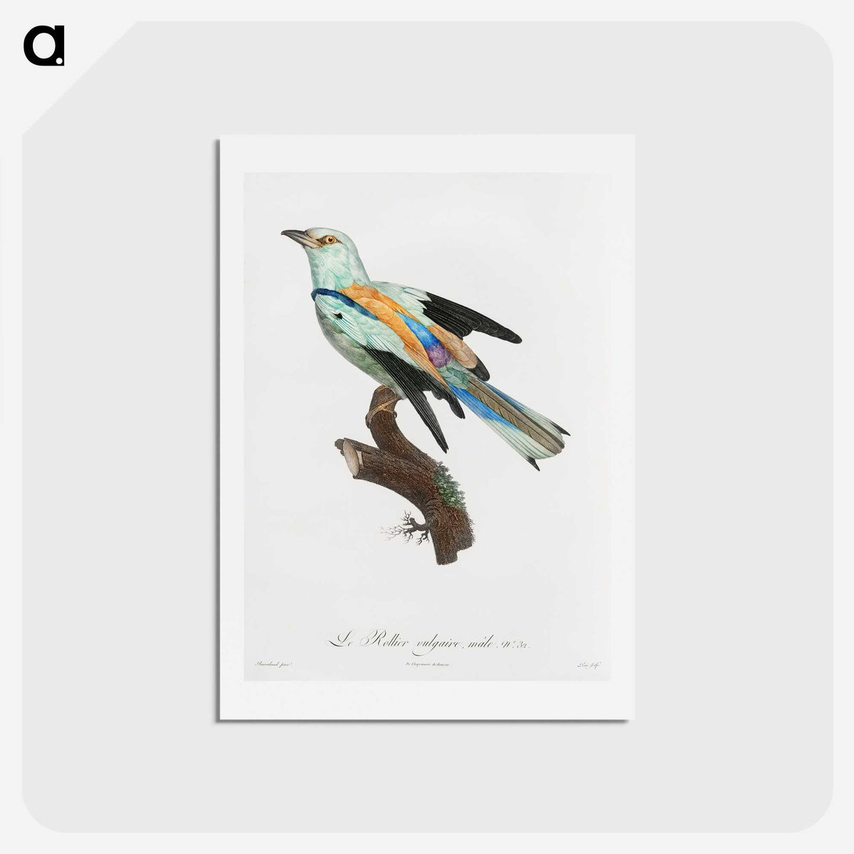 1-8_Des-Oiseaux-de-Paradis_hagaki