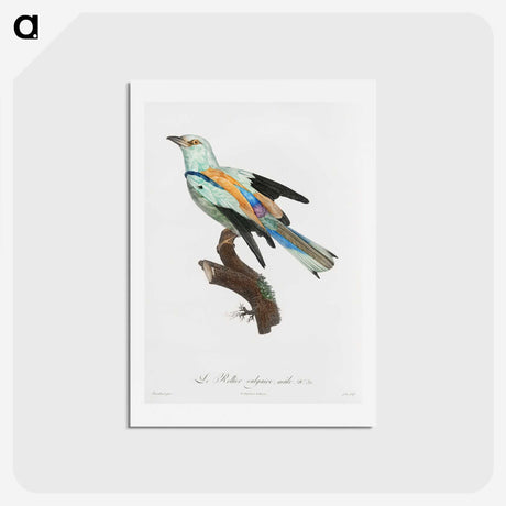 1-8_Des-Oiseaux-de-Paradis_hagaki