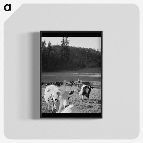 1-8_Dorothea-Lange_blk-crop