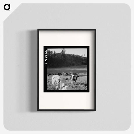 1-8_Dorothea-Lange_blk
