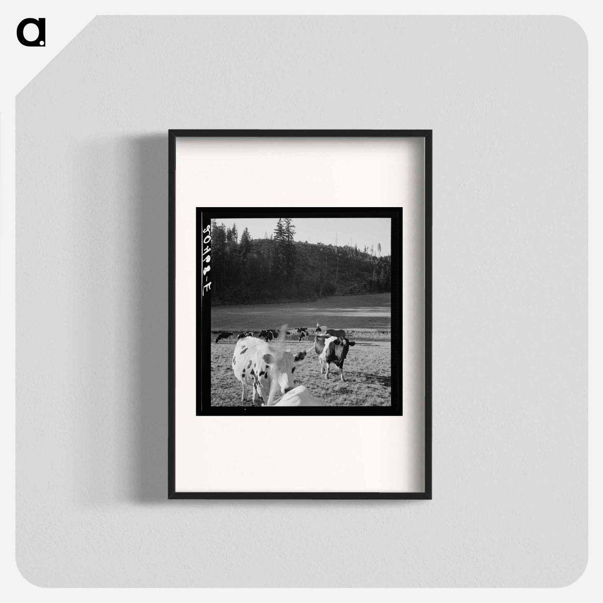 Untitled - Dorothea Lange Poster.