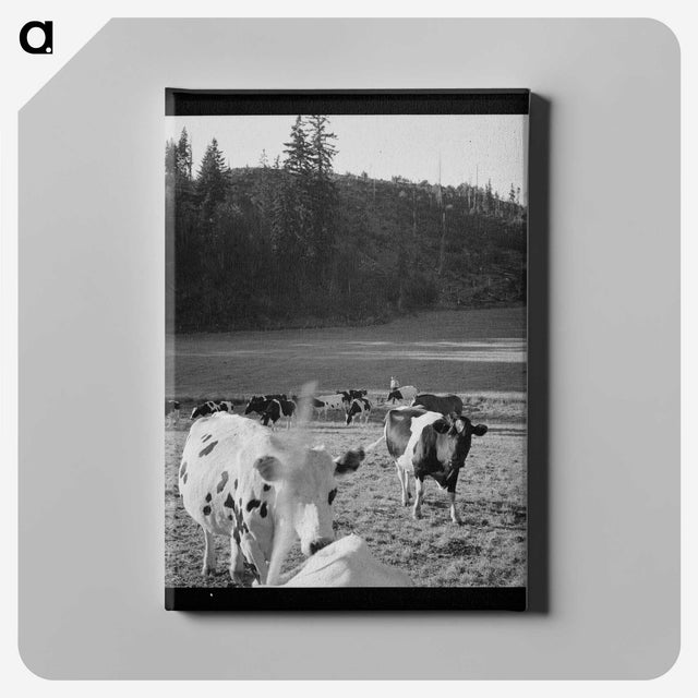 1-8_Dorothea-Lange_canvas