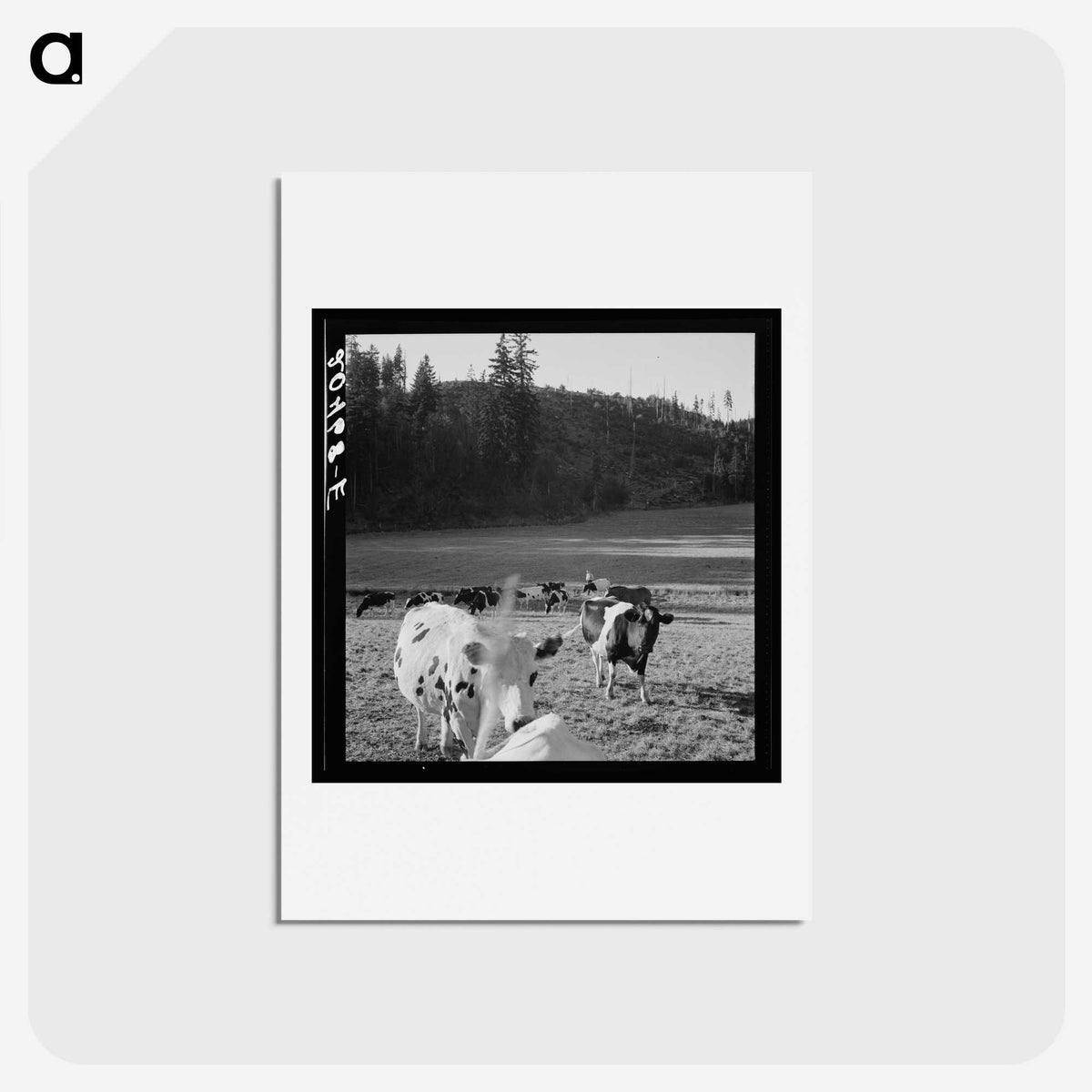 1-8_Dorothea-Lange_hagaki