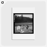 1-8_Dorothea-Lange_hagaki
