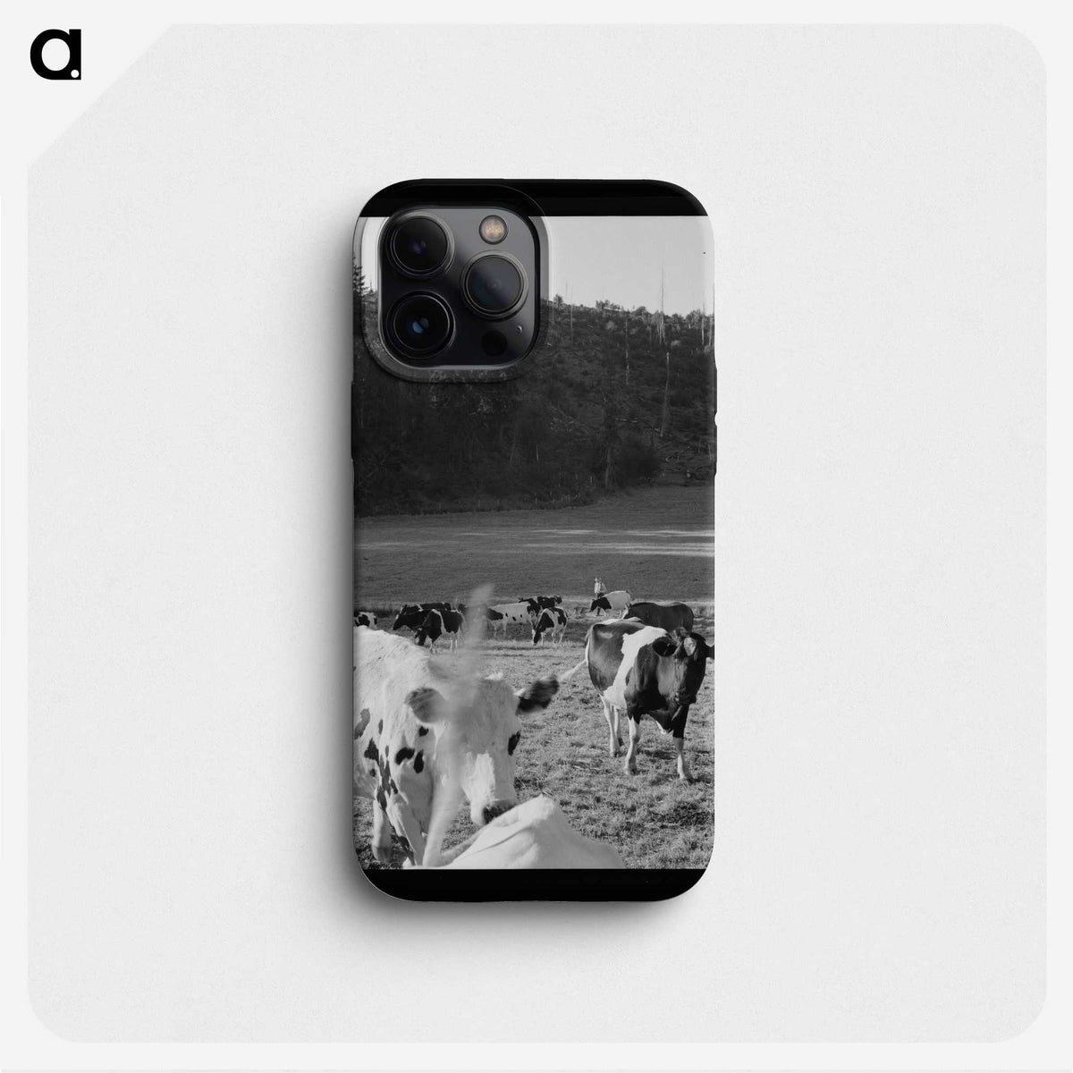 1-8_Dorothea-Lange_phone