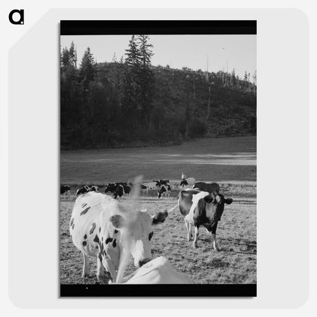 1-8_Dorothea-Lange_picture-crop