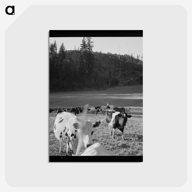 1-8_Dorothea-Lange_postcard