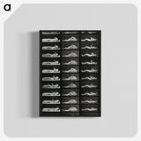 1-8_Eadweard-Muybridge_blk-crop