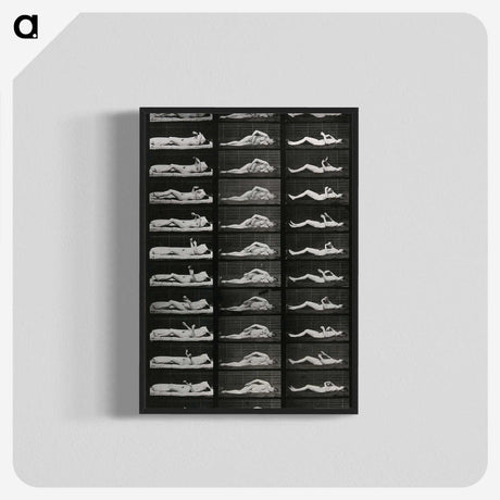 1-8_Eadweard-Muybridge_blk-crop