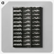1-8_Eadweard-Muybridge_canvas
