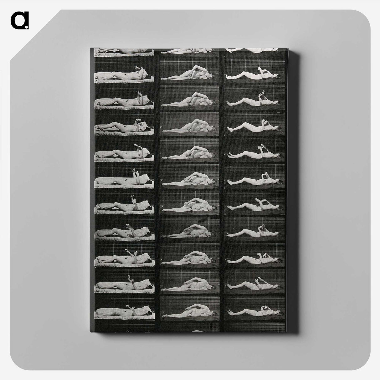 1-8_Eadweard-Muybridge_canvas
