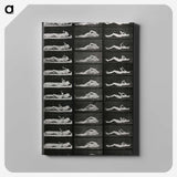 1-8_Eadweard-Muybridge_canvas
