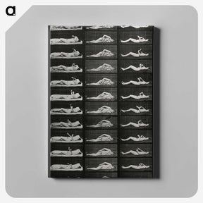 1-8_Eadweard-Muybridge_canvas