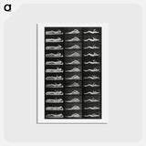 アートポストカード-Convulsions
 - エドワード マイブリッジ Postcard.