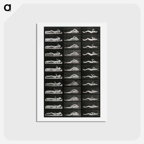 アートポストカード-Convulsions
 - エドワード マイブリッジ Postcard.