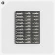 1-8_Eadweard-Muybridge_memo