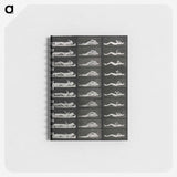 1-8_Eadweard-Muybridge_memo