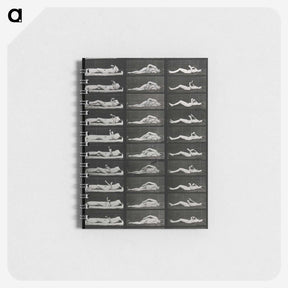 1-8_Eadweard-Muybridge_memo