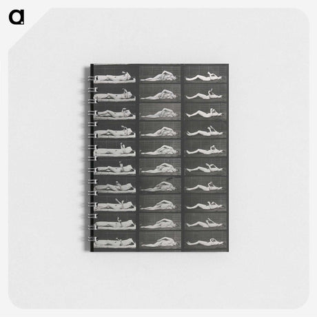 1-8_Eadweard-Muybridge_memo