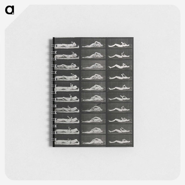 1-8_Eadweard-Muybridge_memo