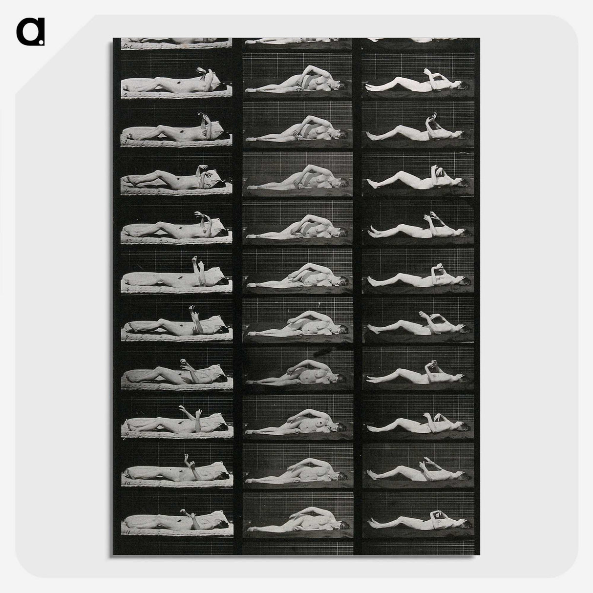1-8_Eadweard-Muybridge_picture-crop