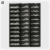 1-8_Eadweard-Muybridge_picture-crop