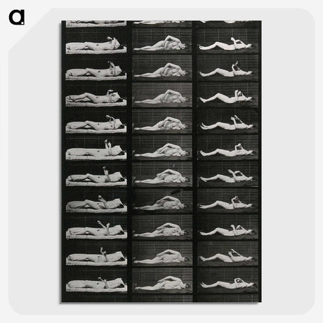1-8_Eadweard-Muybridge_picture-crop