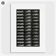 1-8_Eadweard-Muybridge_picture