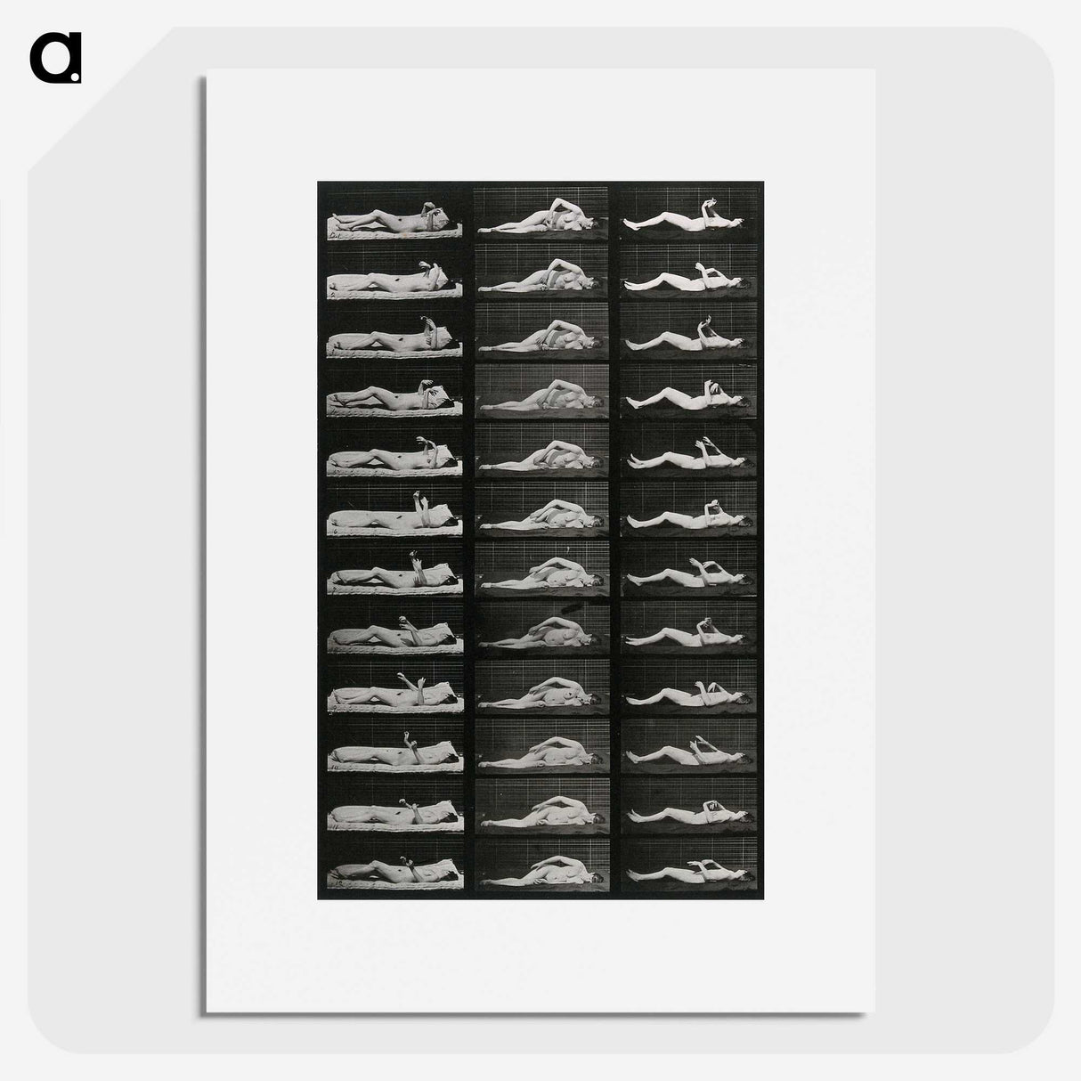 1-8_Eadweard-Muybridge_picture