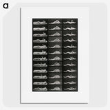 1-8_Eadweard-Muybridge_picture