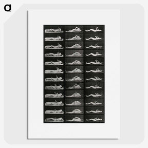 1-8_Eadweard-Muybridge_picture