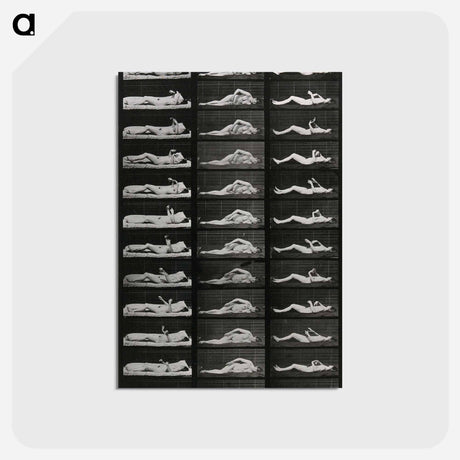 アートポストカード-Convulsions
 - エドワード マイブリッジ Postcard.