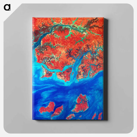 アートパネル-Guinea-Bissau from Space
 - 上空からの地球 Canvas.