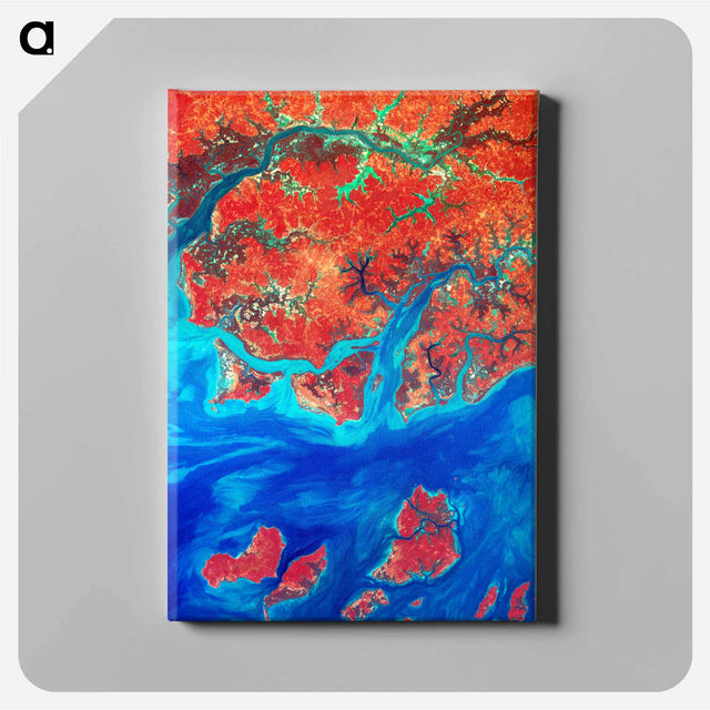 アートパネル-Guinea-Bissau from Space
 - 上空からの地球 Canvas.