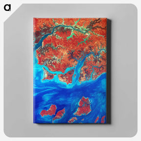 1-8_Earth-from-Above_canvas