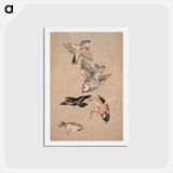 アートポストカード-Love leading the Pilgrim - Study of Birds: Finches - エドワード バーン ジョーンズ Postcard.
