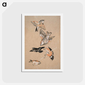 アートポストカード-Love leading the Pilgrim - Study of Birds: Finches - エドワード バーン ジョーンズ Postcard.