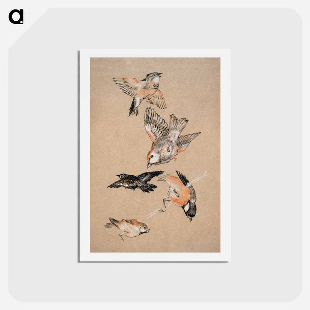 アートポストカード-Love leading the Pilgrim - Study of Birds: Finches - エドワード バーン ジョーンズ Postcard.