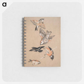アートメモ帳-Love leading the Pilgrim - Study of Birds: Finches - エドワード バーン ジョーンズ Memo.