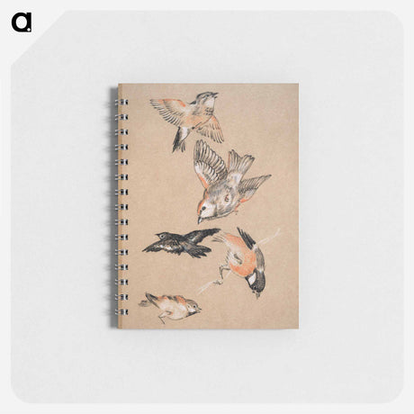 アートメモ帳-Love leading the Pilgrim - Study of Birds: Finches - エドワード バーン ジョーンズ Memo.