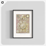 1-8_Ernst-Haeckel_blk