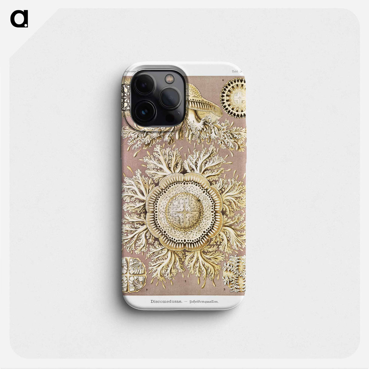 Discomedusae–Schweibenquallen - エルンスト ヘッケル Phone Case.