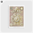 1-8_Ernst-Haeckel_postcard