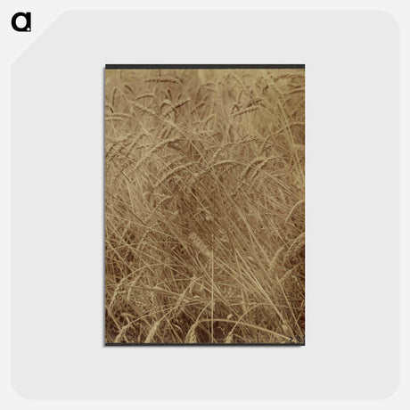 アートポストカード-Blés
 - ウジェーヌ アジェ Postcard.