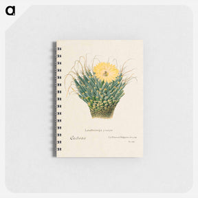 アートメモ帳-Agave Cactus
 - サボテン科 Memo.