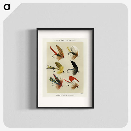 1-8_Favorite-Flies-and-Their-History_blk