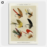 1-8_Favorite-Flies-and-Their-History_picture-crop