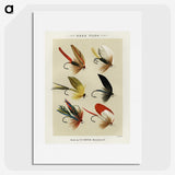 1-8_Favorite-Flies-and-Their-History_picture