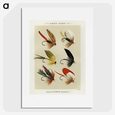1-8_Favorite-Flies-and-Their-History_picture
